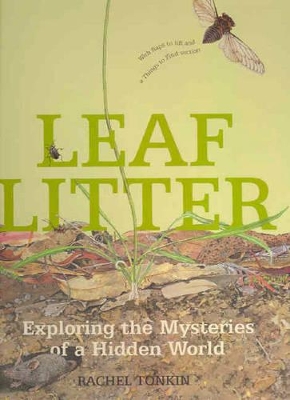 Leaf Litter by Rachel Tonkin