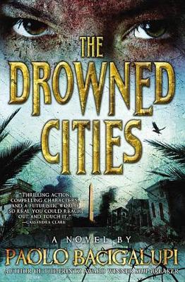 Drowned Cities book