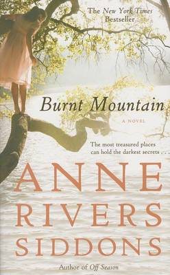 Burnt Mountain book