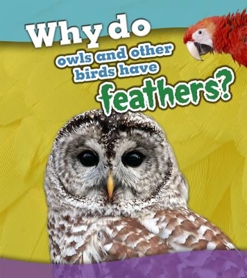 Why do owls and other birds have feathers? book