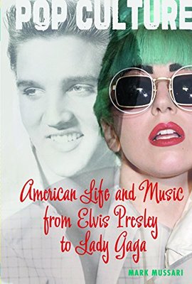 American Life and Music from Elvis to Lady Gaga book