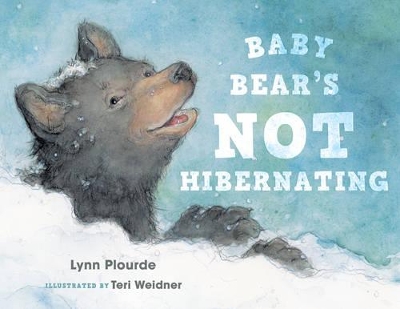Baby Bear's Not Hibernating book
