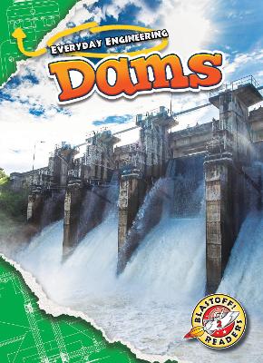 Dams book