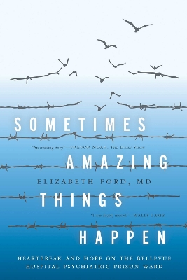 Sometimes Amazing Things Happen book
