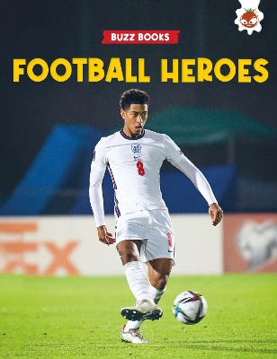 Football Heroes book