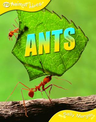 Ants by Sally Morgan