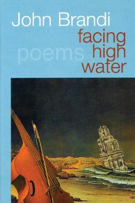 Facing High Water book