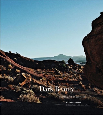 Dark Beauty book