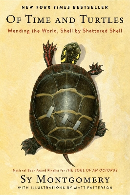 Of Time And Turtles: Mending The World, Shell By Shattered Shell book