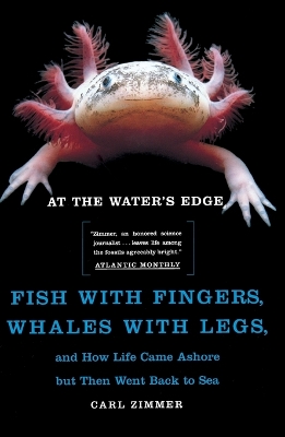 At the Water's Edge book