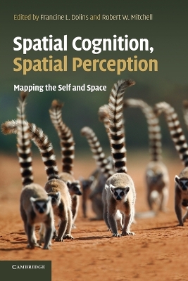 Spatial Cognition, Spatial Perception by Francine L. Dolins