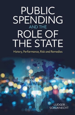 Public Spending and the Role of the State: History, Performance, Risk and Remedies book