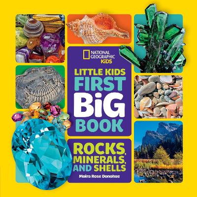 Little Kids First Big Book of Rocks, Minerals & Shells-Library edition book