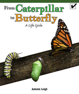 From Caterpillar to Butterfly by Autumn Leigh