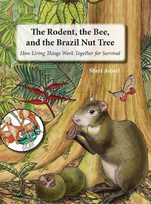 The Rodent, the Bee, and the Brazil Nut Tree: How Living Things Work Together for Survival by Sheri Amsel