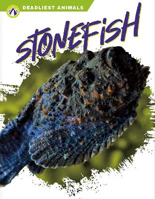 Deadliest Animals: Stonefish book