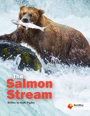 The Salmon Stream book