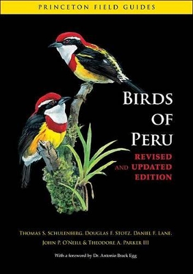 Birds of Peru by Thomas S. Schulenberg