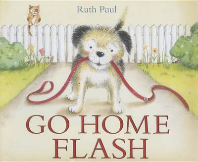 Go Home Flash book