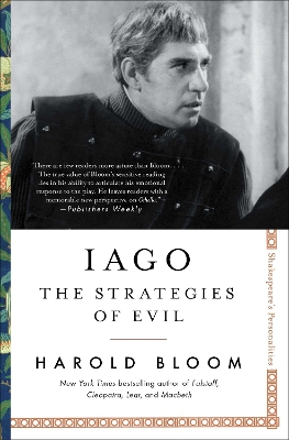 Iago: The Strategies of Evil: Volume 4 book