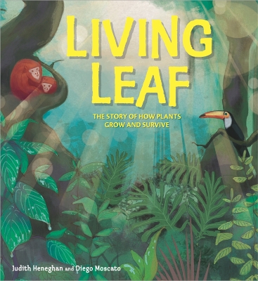 Plant Life: Living Leaf: The Story of How Plants Grow and Survive by Judith Heneghan