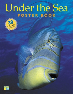 Under the Sea Poster Book book