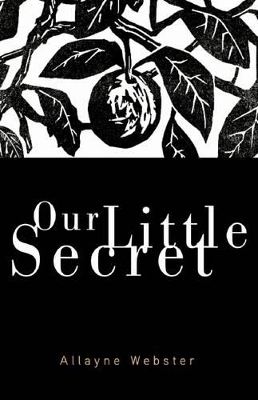 Our Little Secret book