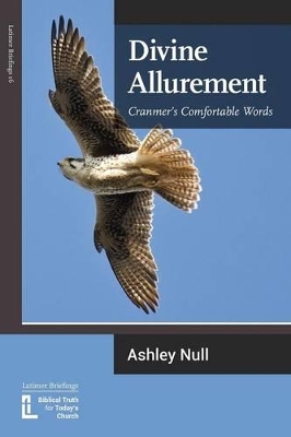 Divine Allurement book