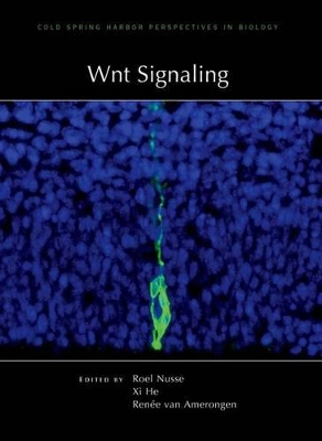 Wnt Signaling book