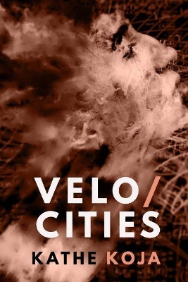 Velocities: Stories book