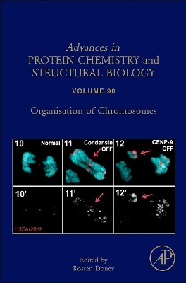 Organisation of Chromosomes book