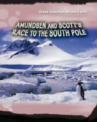 Amundsen and Scott's Race to the South Pole book