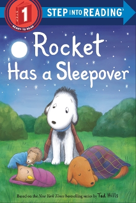 Rocket Has a Sleepover by Tad Hills
