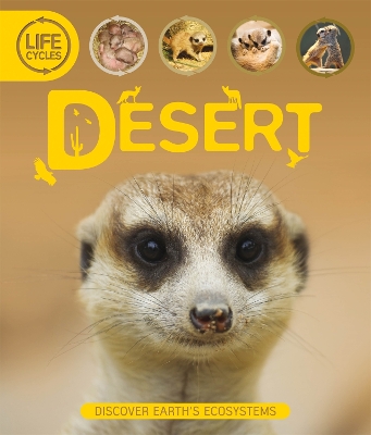 Life Cycles: Desert book