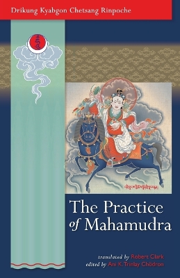 Practice Of Mahamudra book