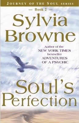 Soul's Perfection book