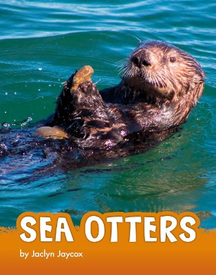 Sea Otters book
