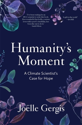 Humanity's Moment: A Climate Scientist's Case for Hope book