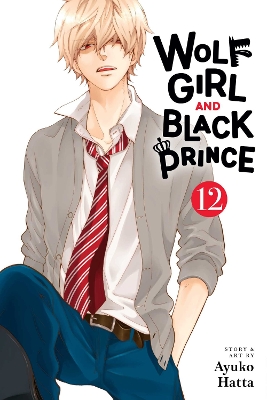 Wolf Girl and Black Prince, Vol. 12: Volume 12 book