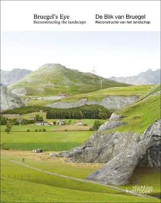 Bruegel's Eye: Reconstructing the Landscape book