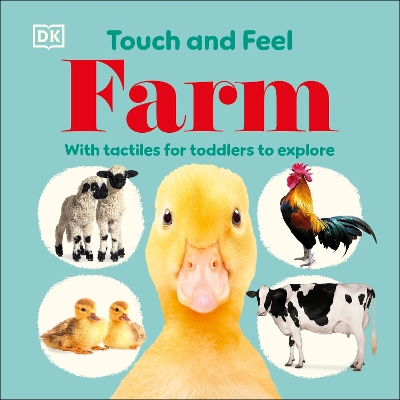 Touch and Feel Farm: With Tactiles for Toddlers to Explore by DK