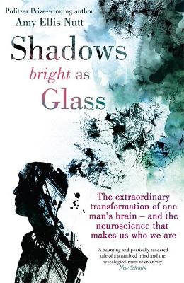 Shadows Bright As Glass by Amy Ellis Nutt
