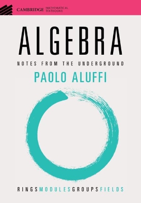 Algebra: Notes from the Underground book