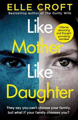 Like Mother, Like Daughter: A gripping and twisty psychological thriller exploring who your family really are book