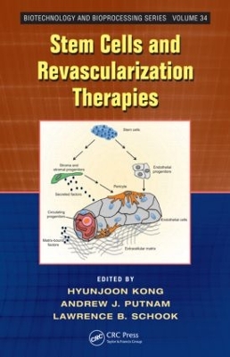 Stem Cells and Revascularization Therapies by Hyunjoon Kong