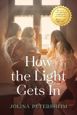 How the Light Gets in book