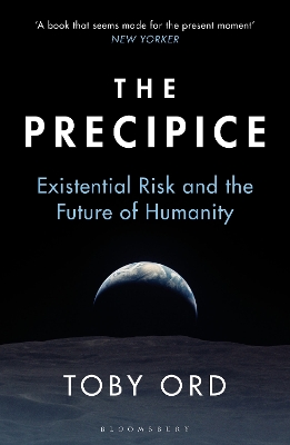 The Precipice: ‘A book that seems made for the present moment’ New Yorker book