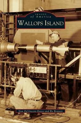 Wallops Island by Nan Devincent Hayes