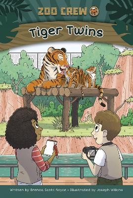 Tiger Twins: Book 2 book