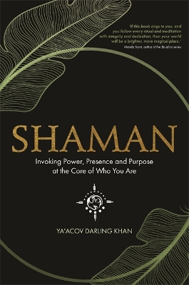Shaman: Invoking Power, Presence and Purpose at the Core of Who You Are book